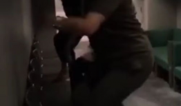 男奴调教视频,一场禁忌的权力游戏