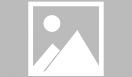 钓鱼直播91平台,乐享自然——揭秘91平台钓鱼直播的魅力