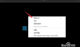 b站视频比例,热门领域与冷门题材的较量